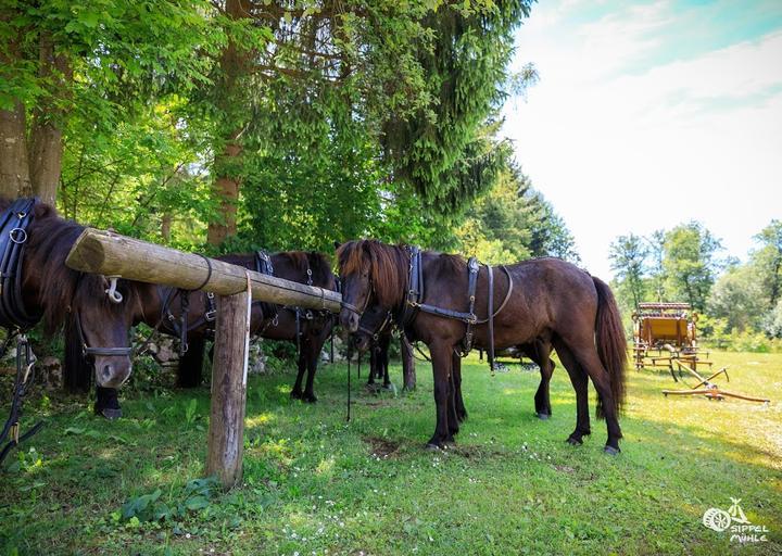 Landgasthof Sippelmuhle